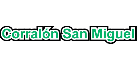 San Miguel 450x250